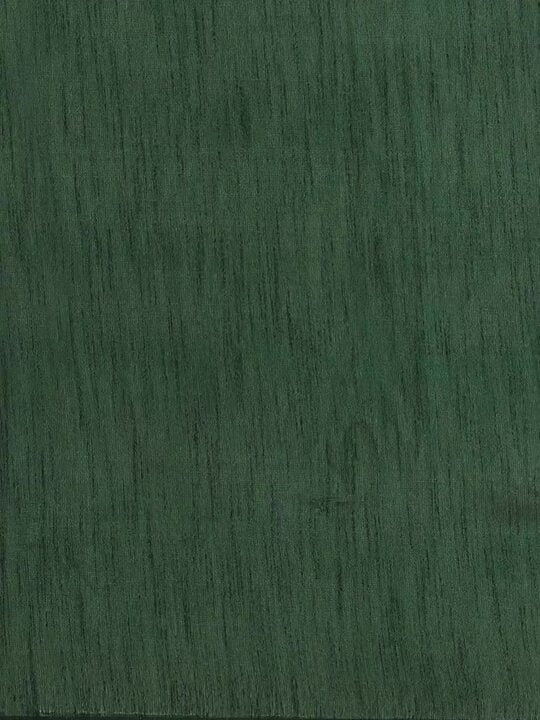 Embroidered Border Saree